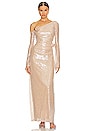 view 1 of 4 Aniella Gown in Champagne