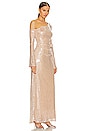 view 2 of 4 Aniella Gown in Champagne