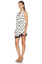 view 2 of 3 VESTIDO AVELINE in Ivory And Black Polka Dot