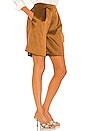view 2 of 4 Noelle Short in Brown