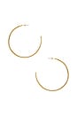 view 3 of 3 Adalene Hoop in Gold