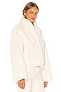 view 3 of 5 Dilone Jacket in Ivory