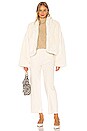 view 5 of 5 Dilone Jacket in Ivory