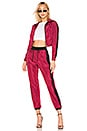 view 5 of 4 Gino Pant in Burgundy & Black