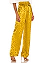 view 2 of 5 Carlotta Pant in Golden Hearts