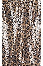 view 5 of 5 Logan Pant in Leopard