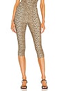 view 1 of 4 PANTALON CAPRI in Leopard