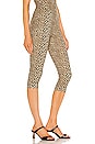 view 2 of 4 PANTALON CAPRI in Leopard