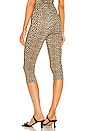 view 3 of 4 PANTALON CAPRI in Leopard