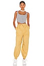 view 4 of 4 Michela Pant in Camel