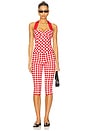 view 5 of 6 Lizzie Capri in Red Gingham Print