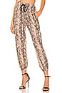 view 1 of 4 Track Jogger in Tan Snake & Black