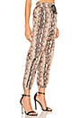 view 2 of 4 Track Jogger in Tan Snake & Black