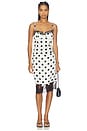 view 6 of 7 JUPE AVELINE in Ivory And Black Polka Dot