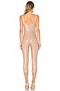 view 3 of 4 Catsuit 462 in Nude