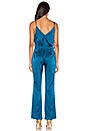 view 3 of 3 Jumpsuit 15 in Positano