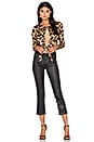 view 4 of 4 Top 13 in Painted Leopard