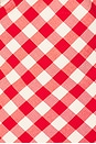 view 5 of 5 Lizzie Top in Red Gingham Print