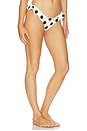 view 2 of 4 Twyla Bottom in Black & White Polka Dot