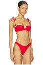 view 2 of 4 Antonia Top in Cherry Red & White