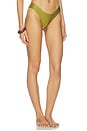view 2 of 4 Amelie Bottom in Olive Green