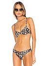 view 1 of 4 Stella Top in Leopard