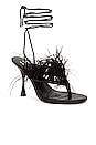 view 2 of 5 Loreta Sandal in Black