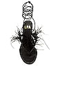 view 4 of 5 Loreta Sandal in Black