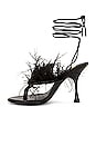 view 5 of 5 Loreta Sandal in Black