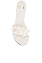 view 4 of 5 Sirena Sandal in Ivory