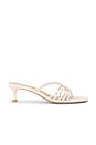 view 1 of 5 Chiara Sandal in Light Nude