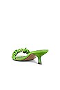 view 3 of 5 Oscar Heel in Lime Green
