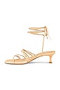 view 5 of 5 Lucia Heel in Nude