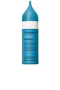 view 1 of 7 Scalp Care Exfoliator 3.4oz in 