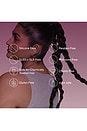 view 10 of 10 Presenting Double The Clean Dry Shampoo Duo in 