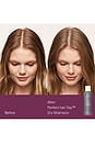 view 3 of 10 Presenting Double The Clean Dry Shampoo Duo in 