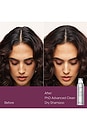 view 4 of 10 Presenting Double The Clean Dry Shampoo Duo in 