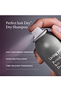 view 6 of 10 Presenting Double The Clean Dry Shampoo Duo in 