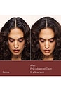 view 4 of 7 Limited Edition Perfect Hair Day Advanced Clean Dry Shampoo in Velvet Amber