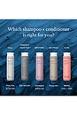 view 11 of 12 CONDICIONADOR PERFECT HAIR DAY (PHD) CONDITIONER in 