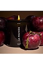view 4 of 5 Harvest Smoke Candle in 