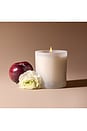 view 3 of 6 Spring Bloom Candle in 