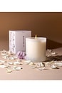 view 6 of 6 Spring Bloom Candle in 