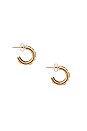 view 2 of 2 Bellina Earrings in Gold