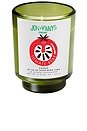 view 1 of 6 X Jon & Vinny's Tomate Bb Candle in 