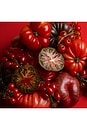 view 5 of 6 X Jon & Vinny's Tomate Bb Candle in 