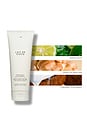 view 3 of 6 Lait De Coco Perfumed Body Icing Créme in 