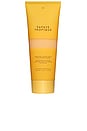 view 1 of 6 Papaye Tropique Perfumed Sugar Scrub in 