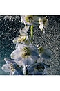 view 5 of 9 Santal Supreme Eau De Parfum in 