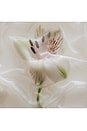 view 4 of 7 000 Eau De Parfum in 